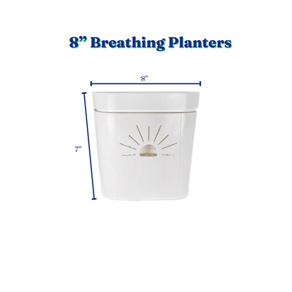 8-Inch "Breathing" Planter
