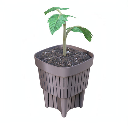 3-Inch Root-Pruning Garden Pots