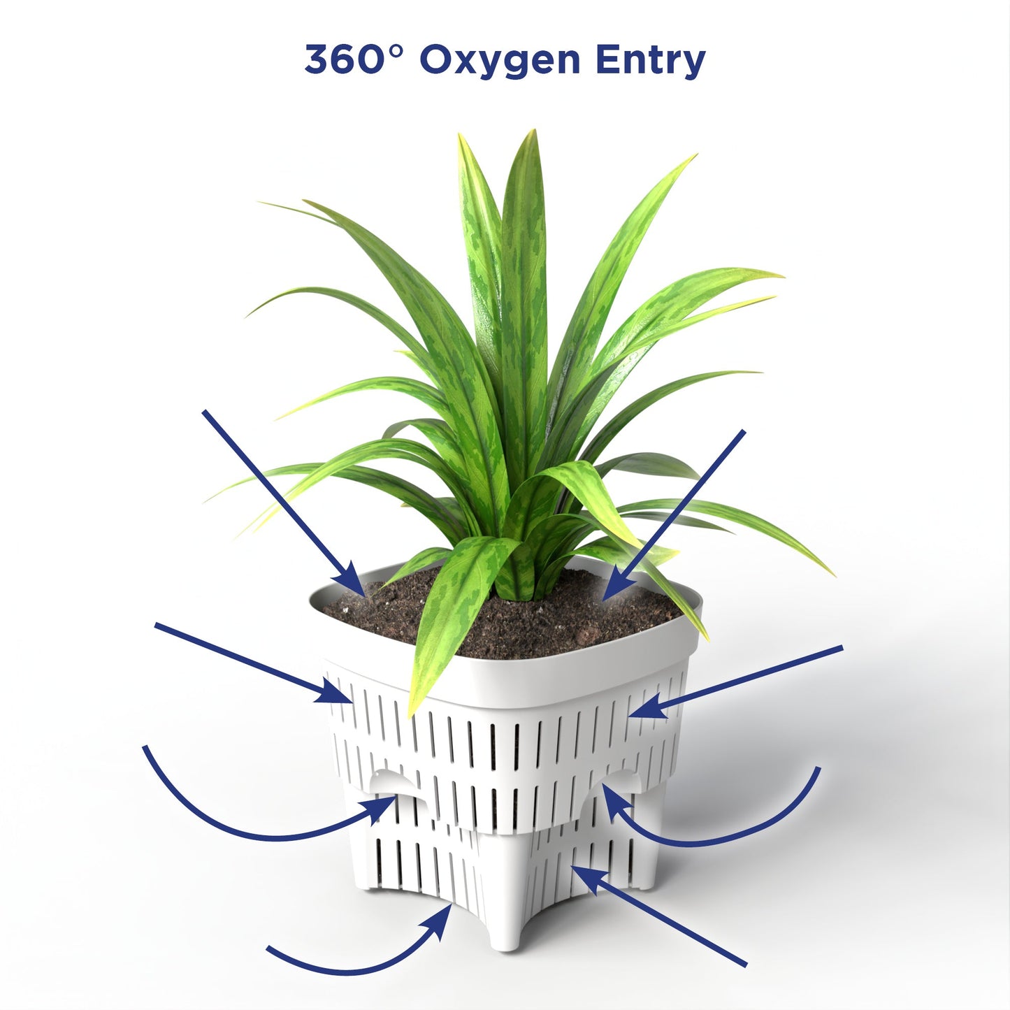 Root Zone Oxygen Planter Starter Kit