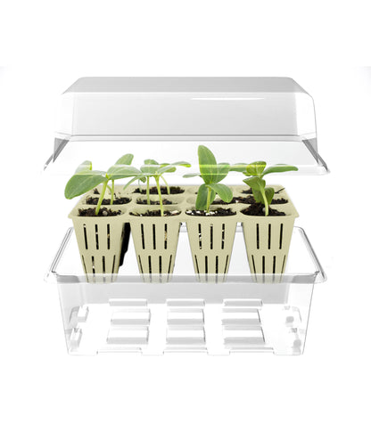 12-Cell Seed Starter w/ Clear Tray + Cover