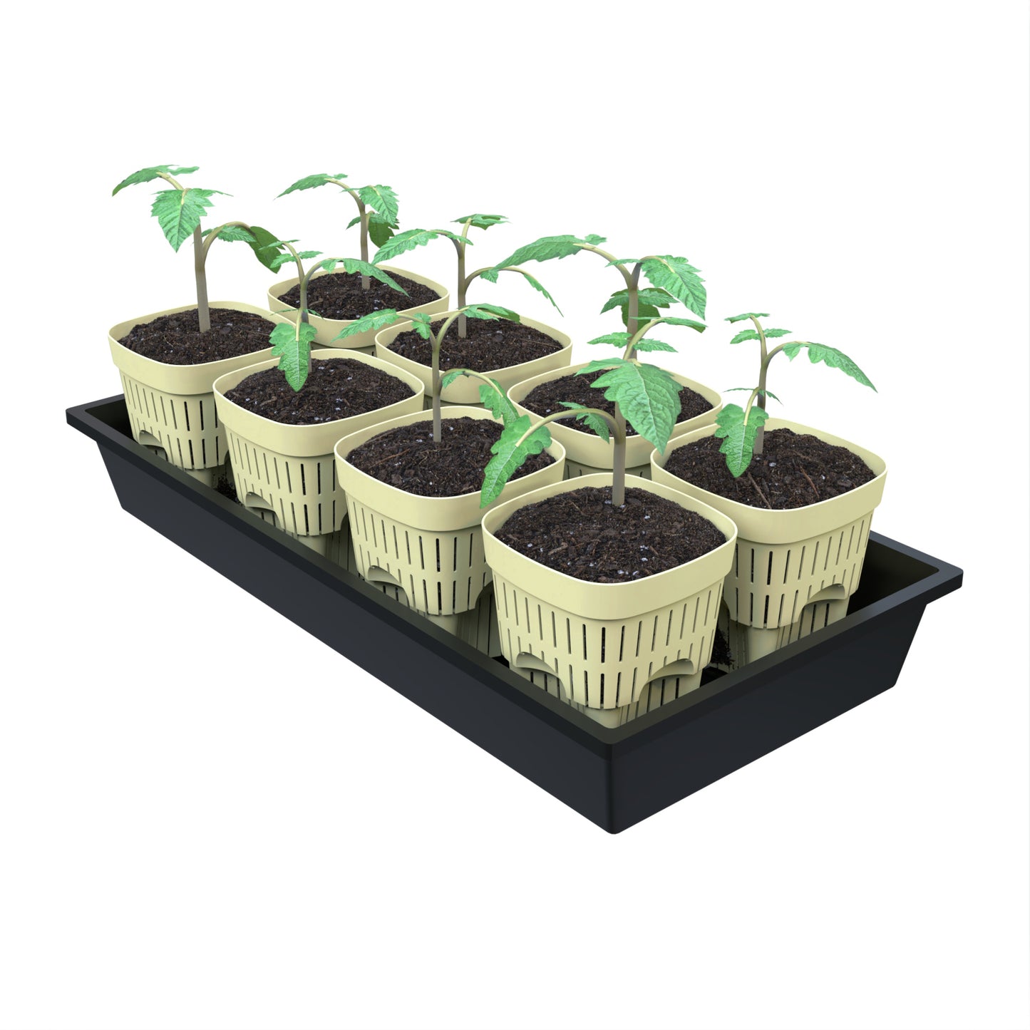 5-Inch Root-Pruning Garden Pots